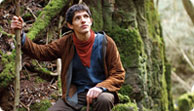 Merlin at Puzzlewood