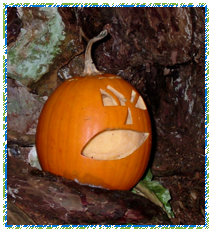 Halloween Pumpkin Trail
