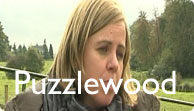 Puzzlewood Video
