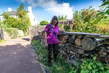 Puzzlewood Bug Hotel