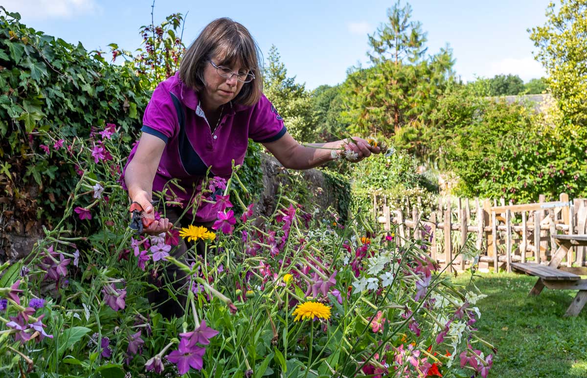 Meet Jane, Puzzlewood’s gardener