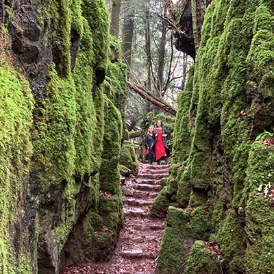 Nightporter at Puzzlewood