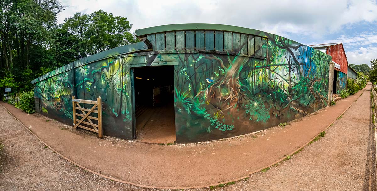 Puzzlewood Murals