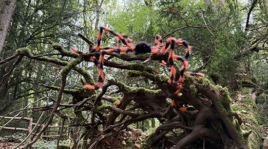 Halloween Fun at Puzzlewood Halloween Fun at Puzzlewood