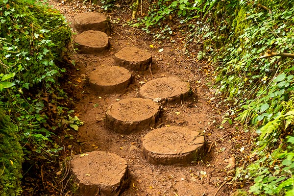 Puzzlewood Outdoor Maths